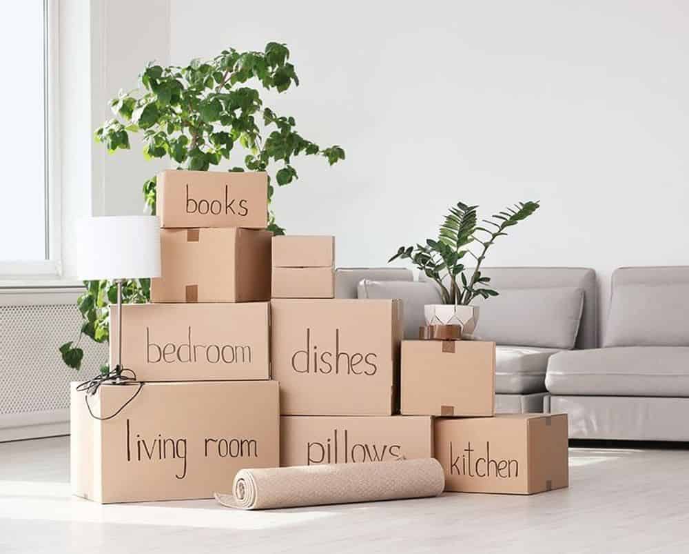 Professional Packing and Unpacking (both before and after) image